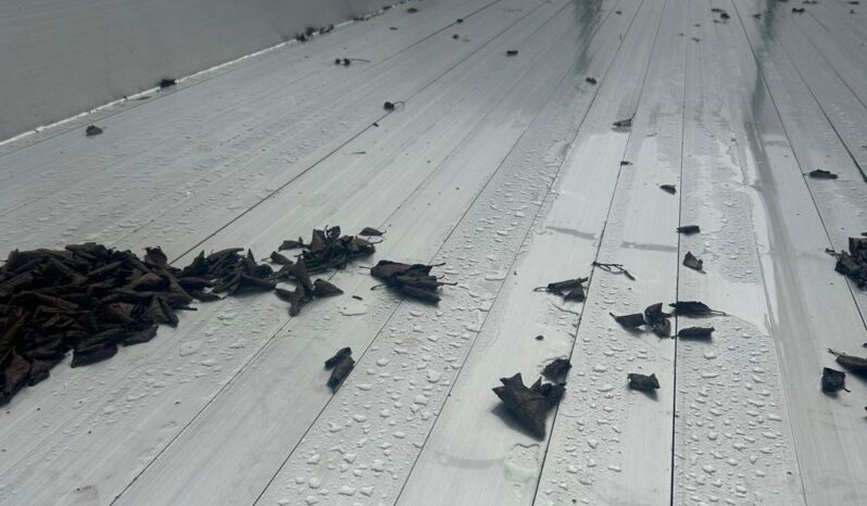 Knapen KT01 100 full